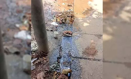 पाइप फटने की बावजूद 5 दिन तक जलदाय विभाग ने ध्यान नहीं दिया; कई लीटर पानी बर्बाद पाइप फटने की बावजूद 5 दिन तक जलदाय विभाग ने ध्यान नहीं दिया; कई लीटर पानी बर्बाद