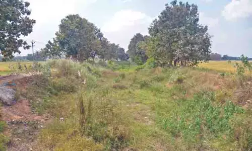 ग्रांड एनीकट नहर का जीर्णोद्धार कार्य पूरा करें, Ayakattadars से अपील ग्रांड एनीकट नहर का जीर्णोद्धार कार्य पूरा करें, Ayakattadars से अपील