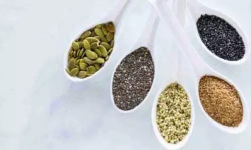 Weight Loss : वजन घटाने में मददगार हैं ये 5 तरह के सीड्स, जानिए कैसे करें इस्तेमाल Weight Loss : वजन घटाने में मददगार हैं ये 5 तरह के सीड्स, जानिए कैसे करें इस्तेमाल