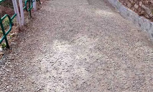 Himachal: कच्चा पैदल पथ Himachal: कच्चा पैदल पथ