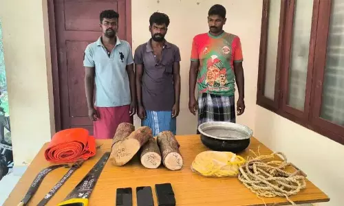 कदमपारा चंदन चोरी: तमिलनाडु के तीन नागरिक गिरफ्तार