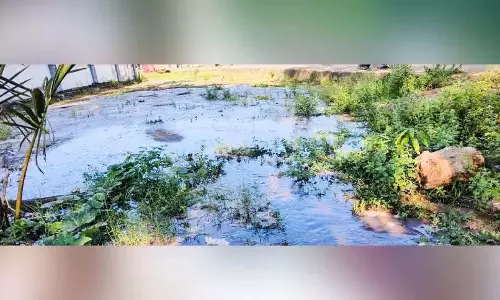 Kerala: राष्ट्रीय राजमार्ग निर्माण कंपनी की लापरवाही के कारण पेयजल बर्बाद