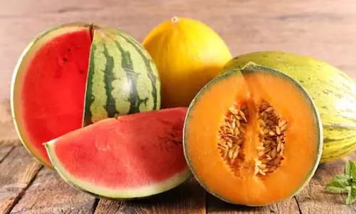 Healthy Weight Loss : वजन घटाने के लिए तरबूज या खरबूजा? जानें कौन सा है बेहतर