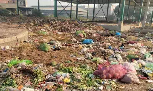 NGT ने मंडी बोर्ड के DGM को दो सप्ताह में कार्रवाई करने और अगली सुनवाई में पेश होने का निर्देश दिया