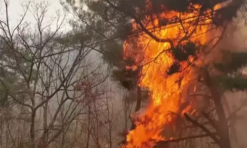 कोरिया के दक्षिण-पूर्वी क्षेत्र में कई जंगलों में लगी आग से जूझ रहा