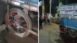 MP News: गोलगप्पे खा रही लड़कियों ने ठेले का टायर देखा तो चिल्लाने लगीं MP News: गोलगप्पे खा रही लड़कियों ने ठेले का टायर देखा तो चिल्लाने लगीं