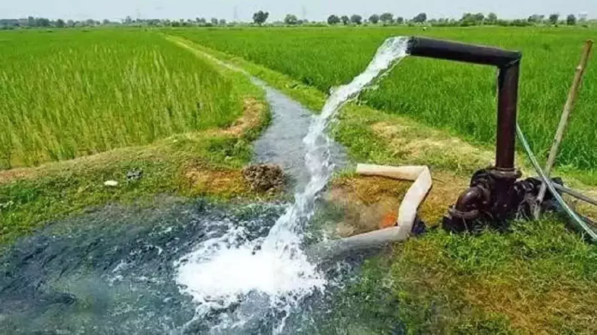 MP : मुआवजे की जगह मिलेगी 50% जमीन, पढ़े पूरी खबर MP : मुआवजे की जगह मिलेगी 50% जमीन, पढ़े पूरी खबर