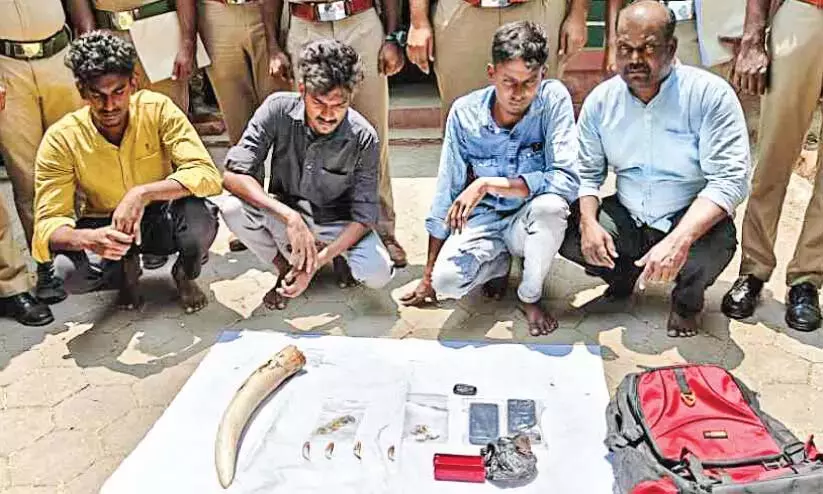 Kerala: हाथी दांत, बाघ के दांत और पंजे के साथ चार गिरफ्तार Kerala: हाथी दांत, बाघ के दांत और पंजे के साथ चार गिरफ्तार