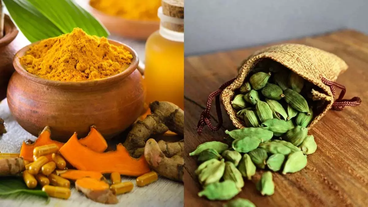 6 स्वादिष्ट और किफ़ायती मसाले जो केसर के लिए बढ़िया काम करते 6 स्वादिष्ट और किफ़ायती मसाले जो केसर के लिए बढ़िया काम करते