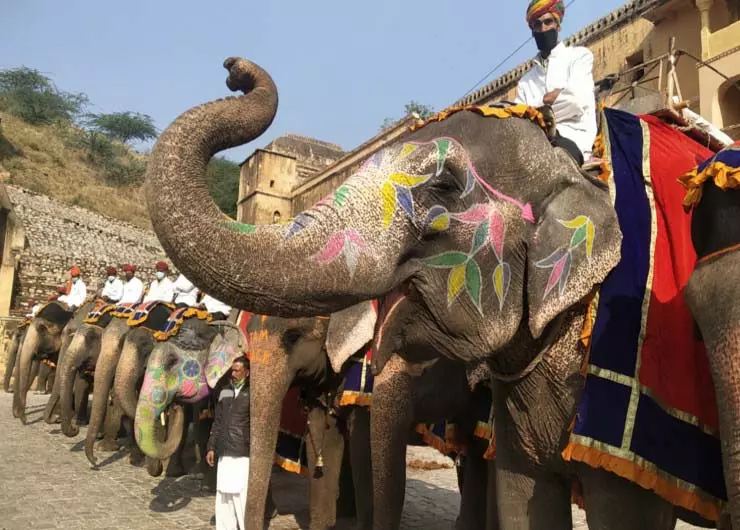 Jaipur News: हाथियों की सवारी पर अस्थाई रोक Jaipur News: हाथियों की सवारी पर अस्थाई रोक