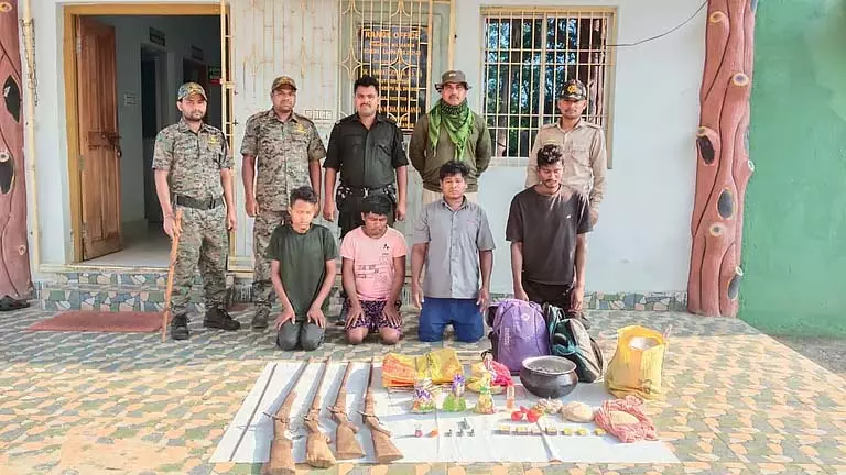 Simlipal टाइगर रिजर्व में हथियारों के साथ चार शिकारी गिरफ्तार Simlipal टाइगर रिजर्व में हथियारों के साथ चार शिकारी गिरफ्तार