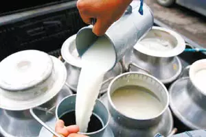 भारत के दूध उत्पादन में 10 वर्षों में 63.6 प्रतिशत की बढ़ोतरी, वैश्विक उत्पादन में देश की 25 प्रतिशत हिस्सेदारी भारत के दूध उत्पादन में 10 वर्षों में 63.6 प्रतिशत की बढ़ोतरी, वैश्विक उत्पादन में देश की 25 प्रतिशत हिस्सेदारी