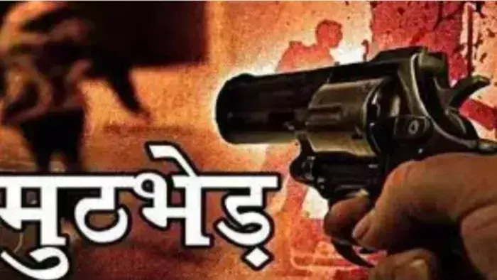 Muzaffarnagar: पुलिस ने मुठभेड़ में शातिर गोकश को दबोचा, तमंचा तथा कारतूस बरामद Muzaffarnagar: पुलिस ने मुठभेड़ में शातिर गोकश को दबोचा, तमंचा तथा कारतूस बरामद