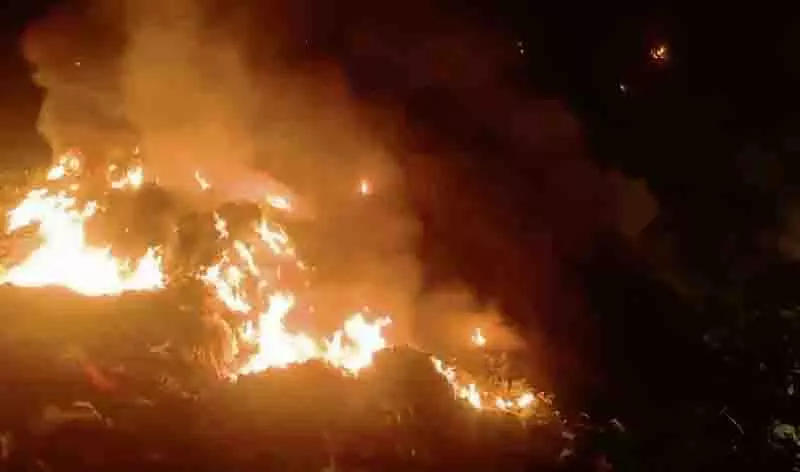 Jalandhar: वारियाना डंप में आग लगने से निवासियों में दहशत Jalandhar: वारियाना डंप में आग लगने से निवासियों में दहशत