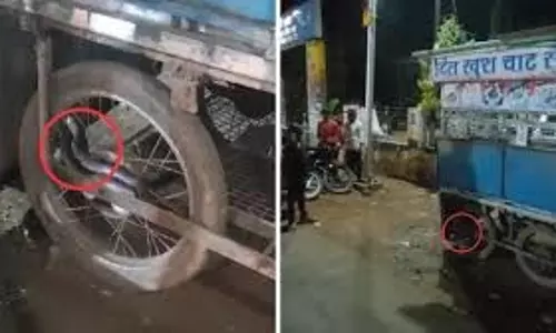 MP News: गोलगप्पे खा रही लड़कियों ने ठेले का टायर देखा तो चिल्लाने लगीं MP News: गोलगप्पे खा रही लड़कियों ने ठेले का टायर देखा तो चिल्लाने लगीं