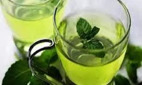 Ayurvedic drinks: इम्यूनिटी को मजबूत कर बीमारियों को दूर रखते हैं ये तीन आयुर्वेदिक ड्रिंक्स, घर पर बनाकर करें सेवन