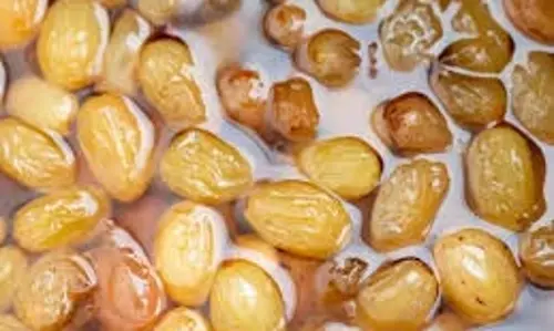 Health: खाली पेट किशमिश का पानी पीने से मिलते हैं गजब के स्वास्थ्य लाभ, दूर होती हैं कई स्वास्थ्य संबंधी समस्याएं