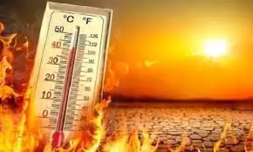Haryana weather: गर्मी कहर, IMD ने जारी किया भीषण गर्मी का अलर्ट