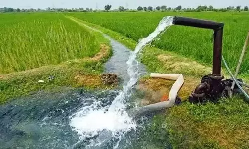 MP : मुआवजे की जगह मिलेगी 50% जमीन, पढ़े पूरी खबर MP : मुआवजे की जगह मिलेगी 50% जमीन, पढ़े पूरी खबर