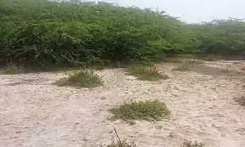 चिपकोट औद्योगिक एस्टेट: क्या सरकार पर्यावरण संरक्षण पर ध्यान देगी?