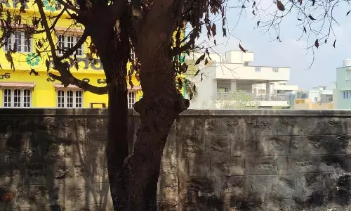 राजराजेश्वरीनगर: उपद्रवियों के कारण पेड़ों में आग लगी