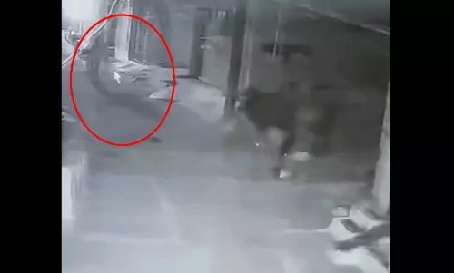अनजान महिला का खौफ...लोगों की नींद कर दी है हराम, पुलिस का बयान आया अनजान महिला का खौफ...लोगों की नींद कर दी है हराम, पुलिस का बयान आया