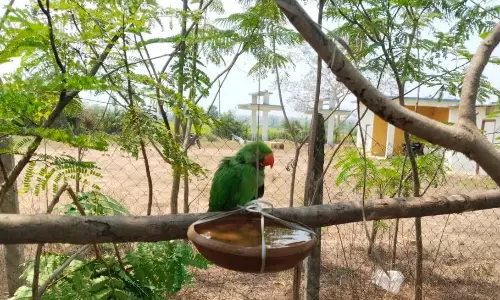 Mulugu ने गर्मी से बचने के लिए कूलिंग सेंटर और वाटर पॉइंट बनाए