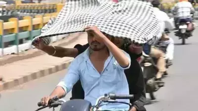 Weather: MP में 2 दिन बाद लू चलने के आसार, 40 डिग्री पार पारा