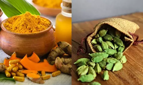 6 स्वादिष्ट और किफ़ायती मसाले जो केसर के लिए बढ़िया काम करते 6 स्वादिष्ट और किफ़ायती मसाले जो केसर के लिए बढ़िया काम करते