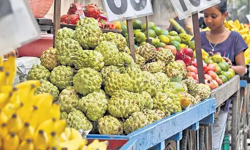 कृषि विभाग-कोल्ड चेन सॉल्यूशंस ने Dhenkana पैक हाउस के संचालन के लिए समझौता किया कृषि विभाग-कोल्ड चेन सॉल्यूशंस ने Dhenkana पैक हाउस के संचालन के लिए समझौता किया