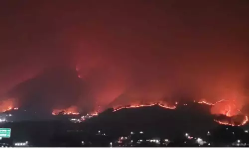 दक्षिण कोरिया के जंगलों में लगी आग: लोगों को निकालने के आदेश