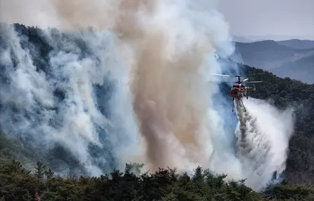 South Korea: उइसोंग में अग्निशमन हेलीकॉप्टर के दुर्घटनाग्रस्त होने से पायलट की मौत South Korea: उइसोंग में अग्निशमन हेलीकॉप्टर के दुर्घटनाग्रस्त होने से पायलट की मौत