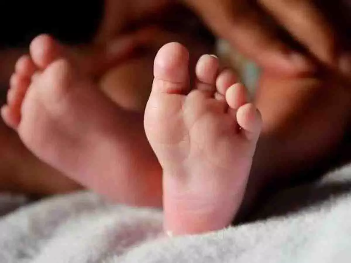 Kamareddy में 55,000 रुपये में बेचा गया नवजात शिशु, बचाया गया Kamareddy में 55,000 रुपये में बेचा गया नवजात शिशु, बचाया गया