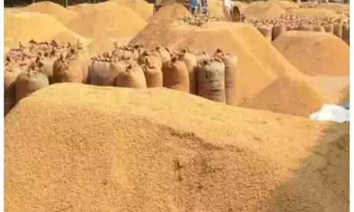 MP : धान घोटाला का बड़ा मामला आया सामने