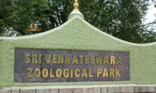AP सरकार ने एसवी जू पार्क में TTD के नोक्टर्नल हाउस प्रोजेक्ट को मंजूरी दी AP सरकार ने एसवी जू पार्क में TTD के नोक्टर्नल हाउस प्रोजेक्ट को मंजूरी दी