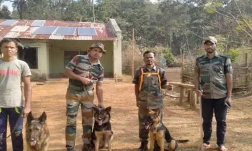 Simlipal में अवैध शिकार रोकने के लिए सात खोजी कुत्तों के दस्ते तैनात