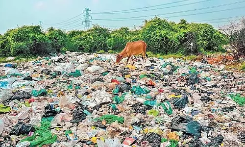 BSWML कर्मचारियों ने दी हड़ताल की धमकी: क्या गार्डन सिटी की कचरा समस्या फिर शुरू होगी?