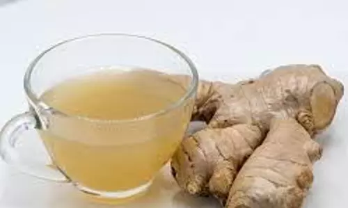 Ginger Water Benefits: वजन घटाने से लेकर ब्लड शुगर कंट्रोल तक, अदरक का पानी है सबसे फायदेमंद Ginger Water Benefits: वजन घटाने से लेकर ब्लड शुगर कंट्रोल तक, अदरक का पानी है सबसे फायदेमंद