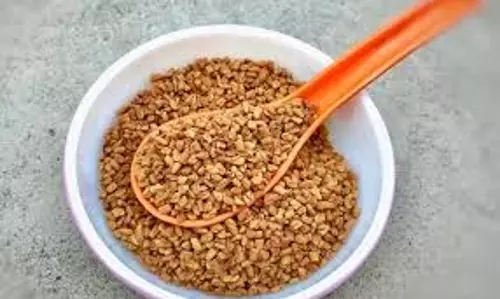 Health: रोज सुबह खाली पेट इस तरह करें मेथी के दानों का सेवन, फौलाद जैसा बन जाएगा शरीर
