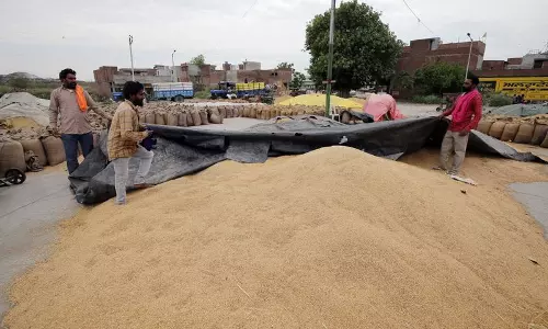 Haryana : सरकार द्वारा गेहूं परिवहन नीति में संशोधन के बाद मंडी ठेकेदारों ने विरोध प्रदर्शन समाप्त किया