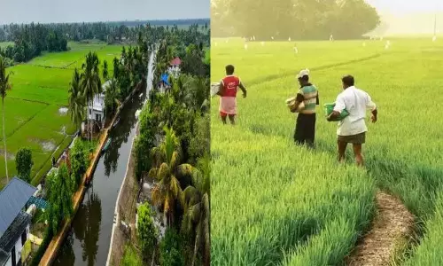 कुट्टनाड पैकेज: योजना बोर्ड की रिपोर्ट की सिफारिशों को लागू किया जाएगा - CM कुट्टनाड पैकेज: योजना बोर्ड की रिपोर्ट की सिफारिशों को लागू किया जाएगा - CM