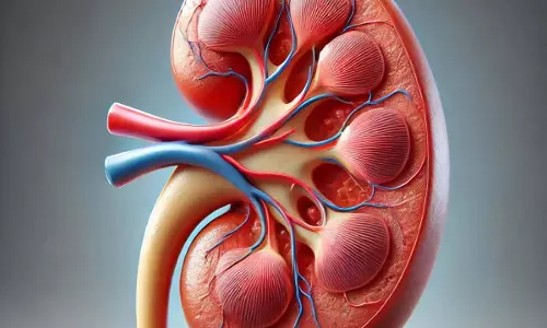 Health : गर्भ में भी हो सकती है किडनी की समस्या, जानें कारण और बचाव