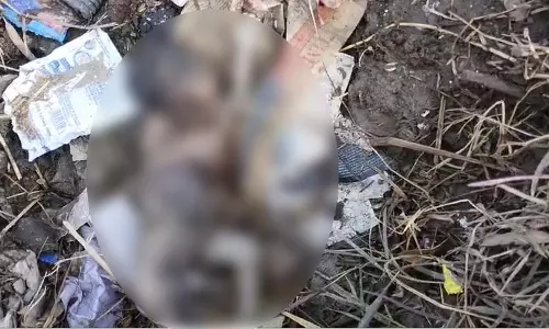 Mumbai: एयरपोर्ट पर कूड़ेदान में नवजात बच्चे की लाश मिलने से हड़कंप Mumbai: एयरपोर्ट पर कूड़ेदान में नवजात बच्चे की लाश मिलने से हड़कंप