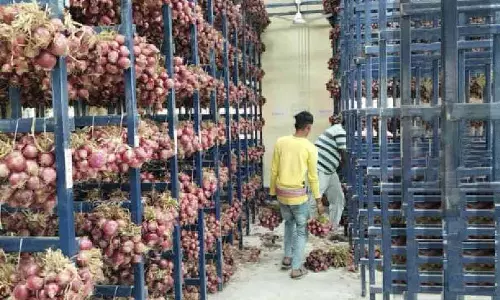 Bengal: सरकार ने संकट के दौरान मांग को पूरा करने के लिए आठ बड़ी प्याज भंडारण इकाइयां स्थापित की Bengal: सरकार ने संकट के दौरान मांग को पूरा करने के लिए आठ बड़ी प्याज भंडारण इकाइयां स्थापित की
