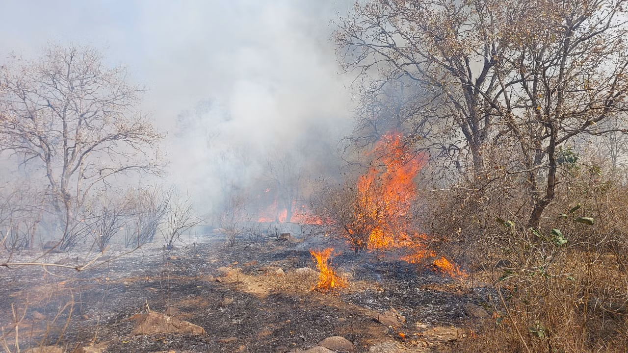Damoh: गांव में भयावह आग लगने से लाखों का नुकसान Damoh: गांव में भयावह आग लगने से लाखों का नुकसान