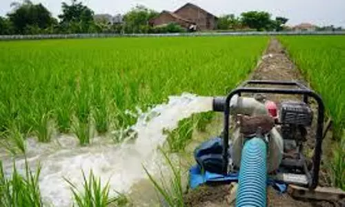 Sri Ganganagar: सिंचाई शुल्क जमा नहीं करने पर बारी से विवर्जित कर दिया जायेगा