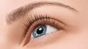 Science: क्या सामने वाला झूठ बोल रहा है, पलक झपकते ही पता चल जाएगा,ये है सबसे नया तरीका Science: क्या सामने वाला झूठ बोल रहा है, पलक झपकते ही पता चल जाएगा,ये है सबसे नया तरीका