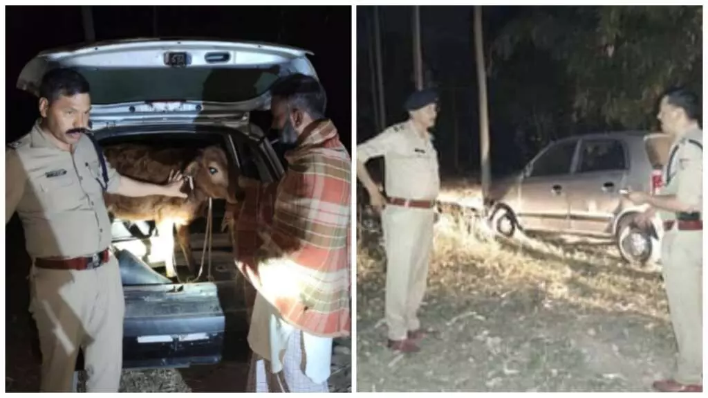 Haridwar: पुलिस की हुई गौ-तस्करों से मुठभेड़, एक आरोपी घायल Haridwar: पुलिस की हुई गौ-तस्करों से मुठभेड़, एक आरोपी घायल