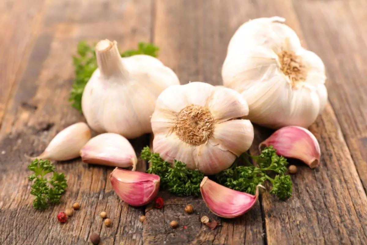Health Tips : खाली पेट लहसुन खाने के फायदे Health Tips : खाली पेट लहसुन खाने के फायदे