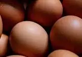 Global Eggs ने 1.1 बिलियन डॉलर में Hillandale Farms का अधिग्रहण किया Global Eggs ने 1.1 बिलियन डॉलर में Hillandale Farms का अधिग्रहण किया